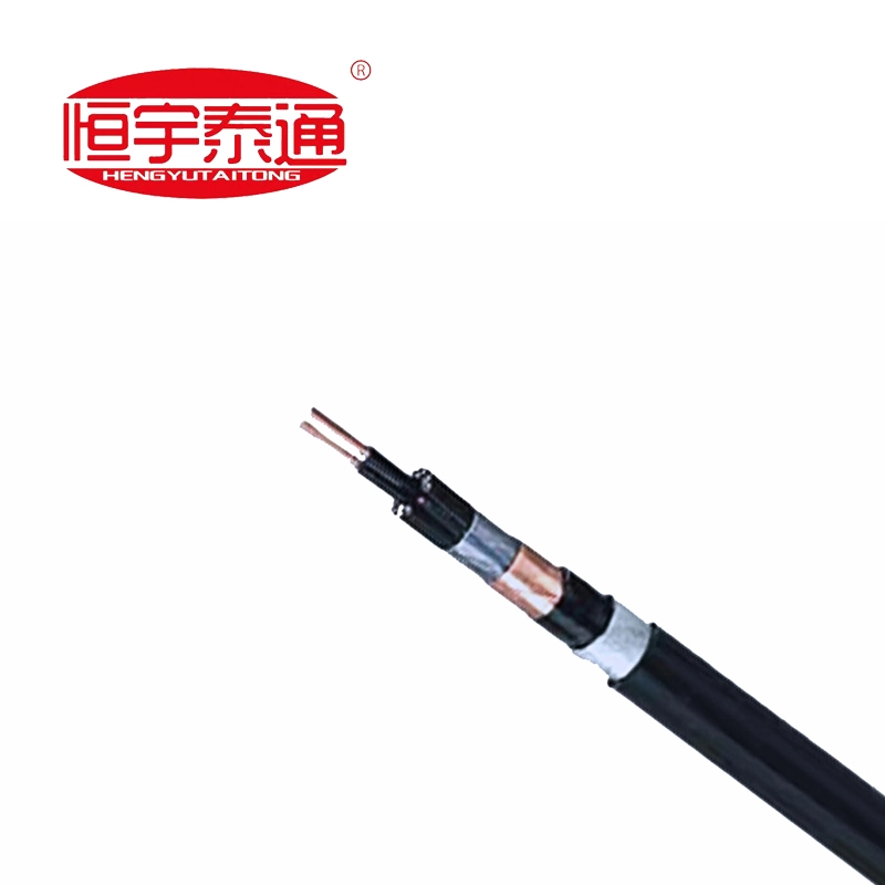 ఫ్లోరోప్లాస్టిక్ ఇన్సులేటెడ్ హీట్ రెసిస్టెంట్ ప్రత్యేక కేబుల్స్